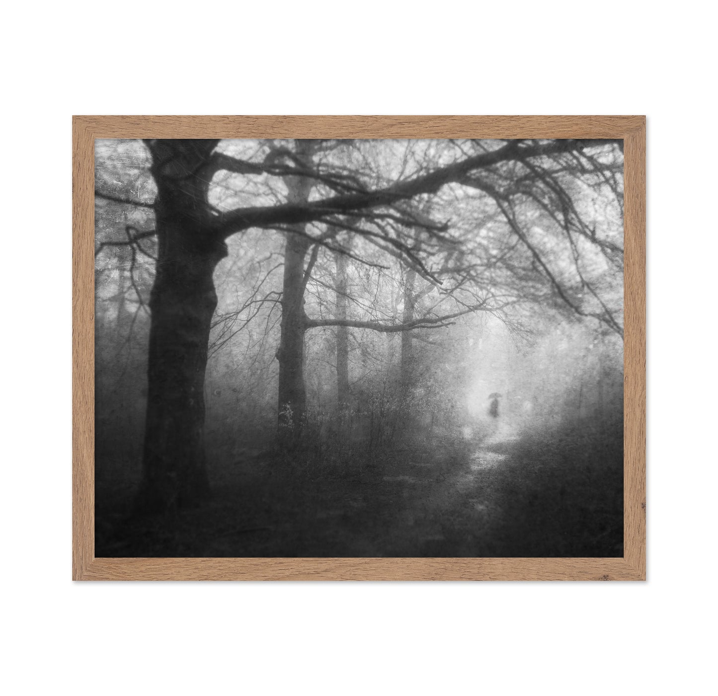 Mysterious Path