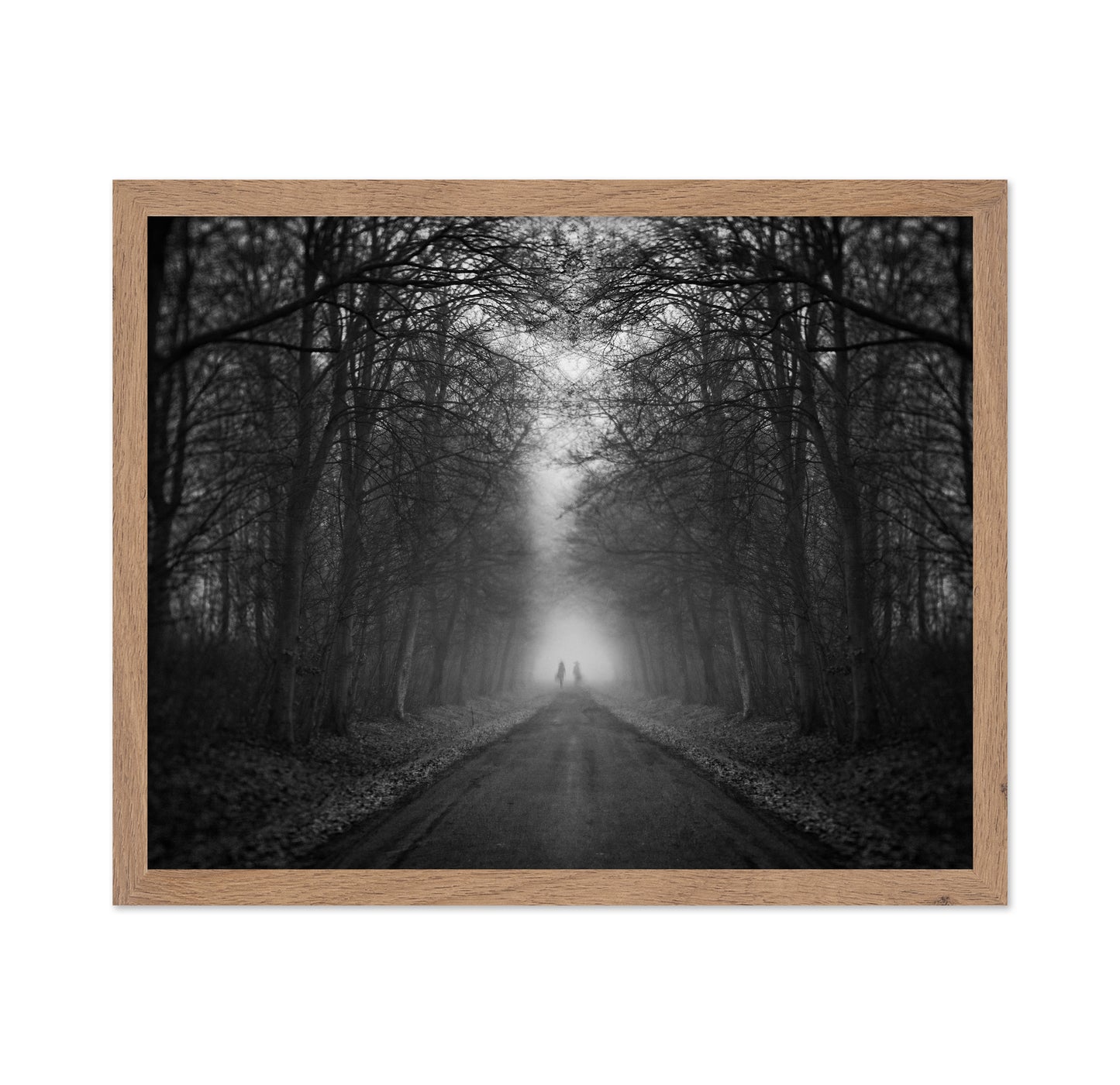 Mysterious Foggy Road