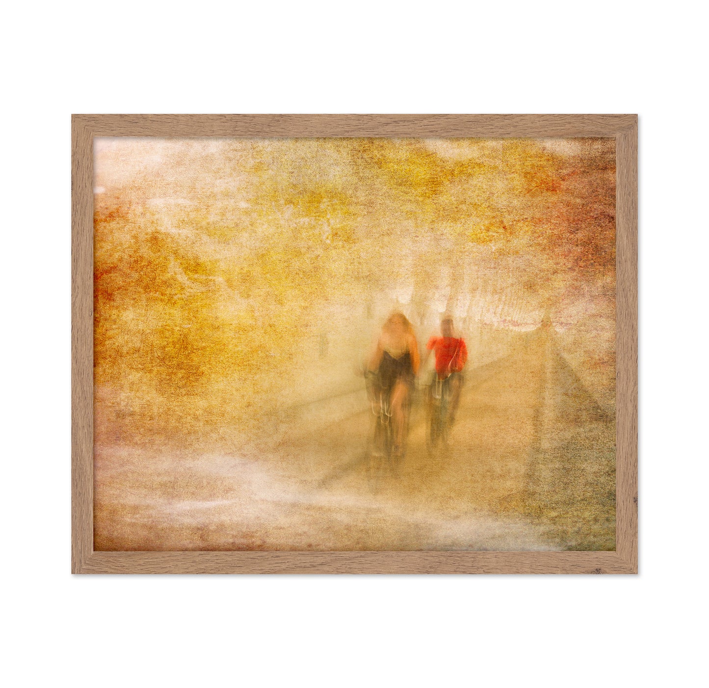 Bicycle Tour