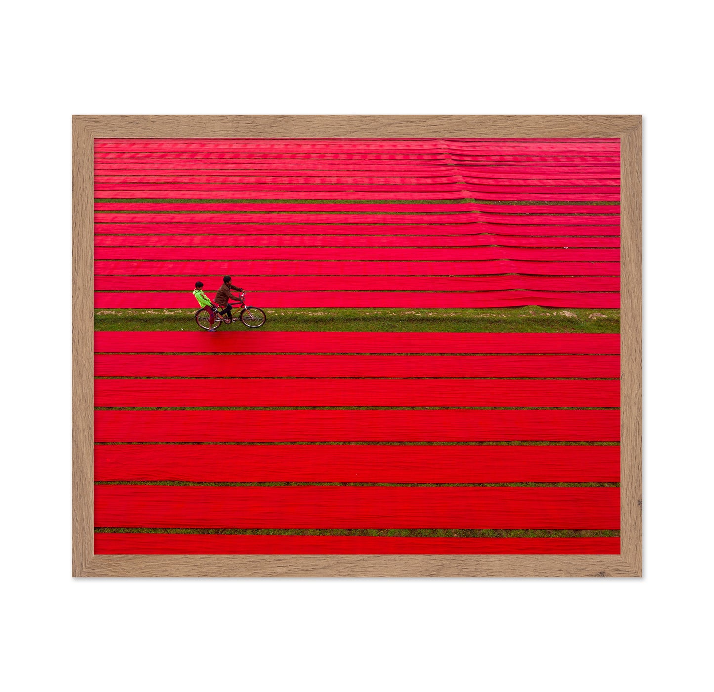 Bicycle on Red Cloths