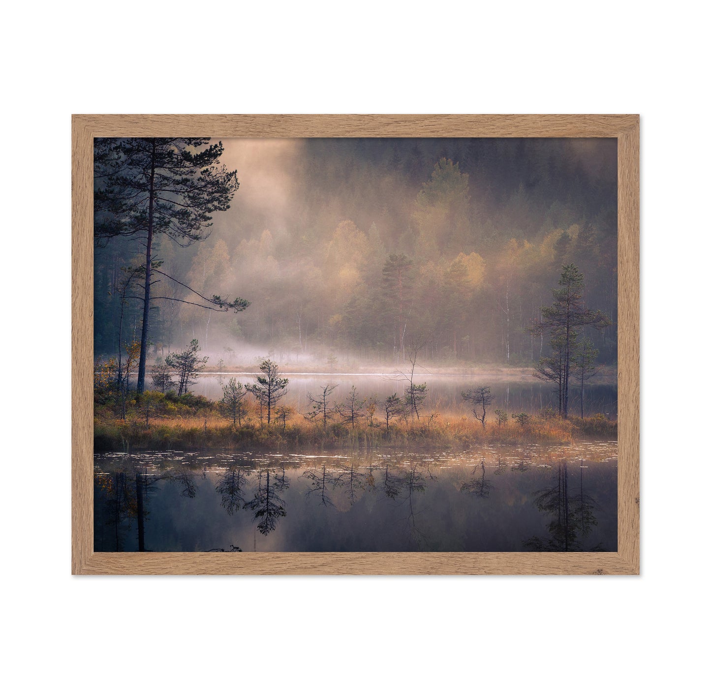 Misty Moment