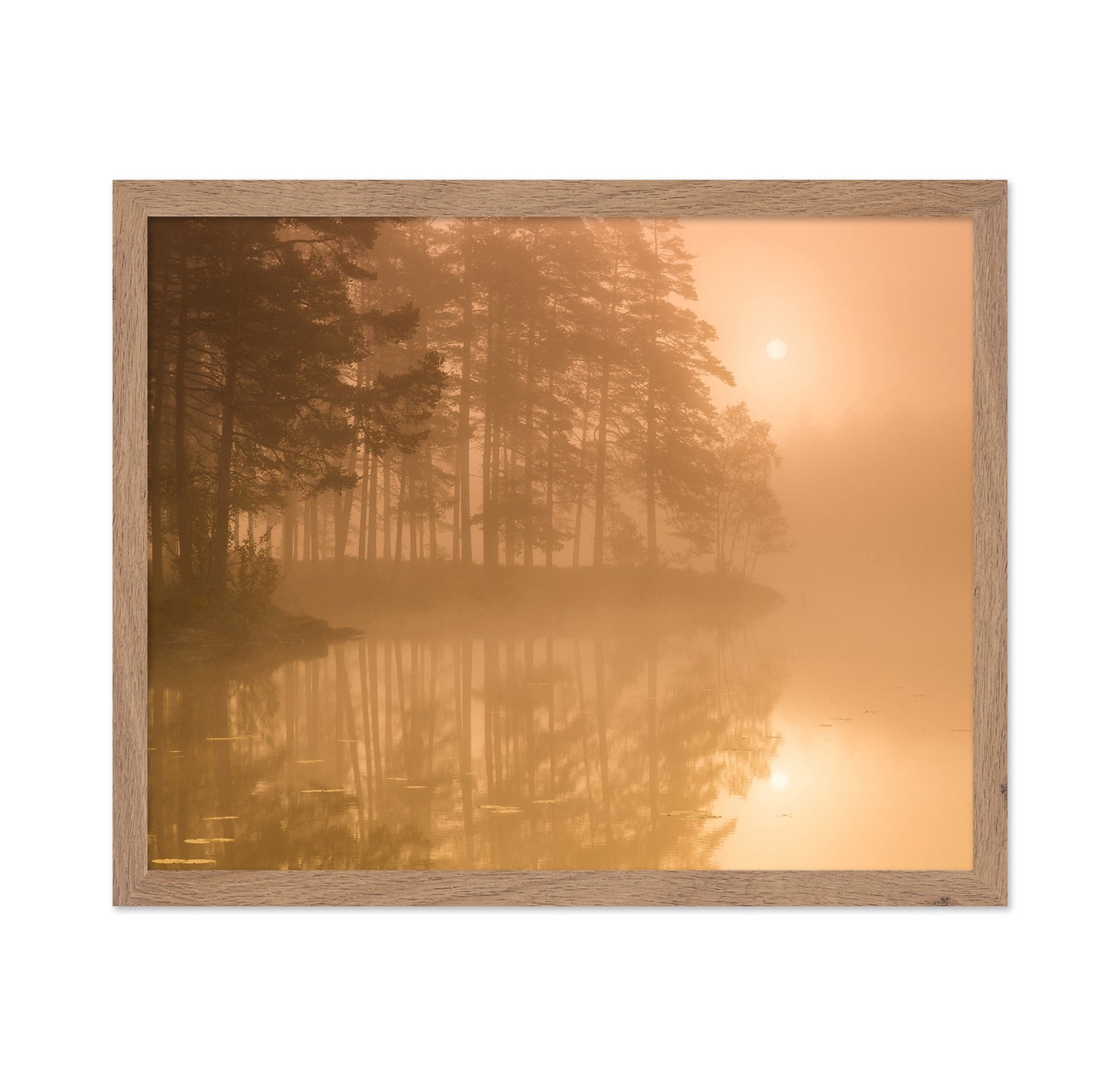 Sun & Mist