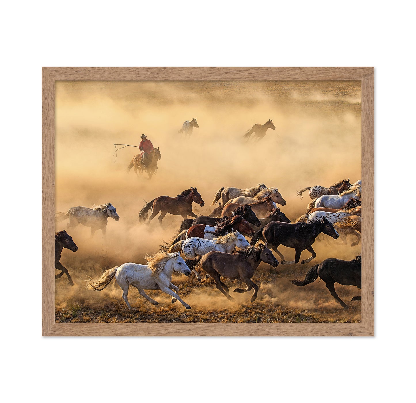 Horse Run