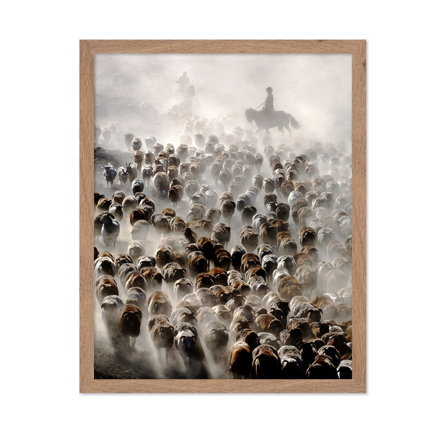The Great Migration of China
