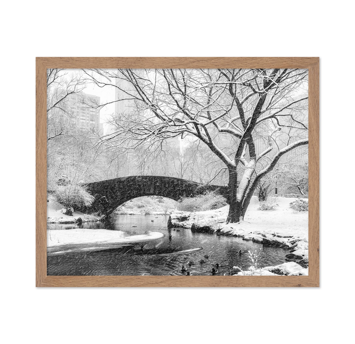 Central Park Snow
