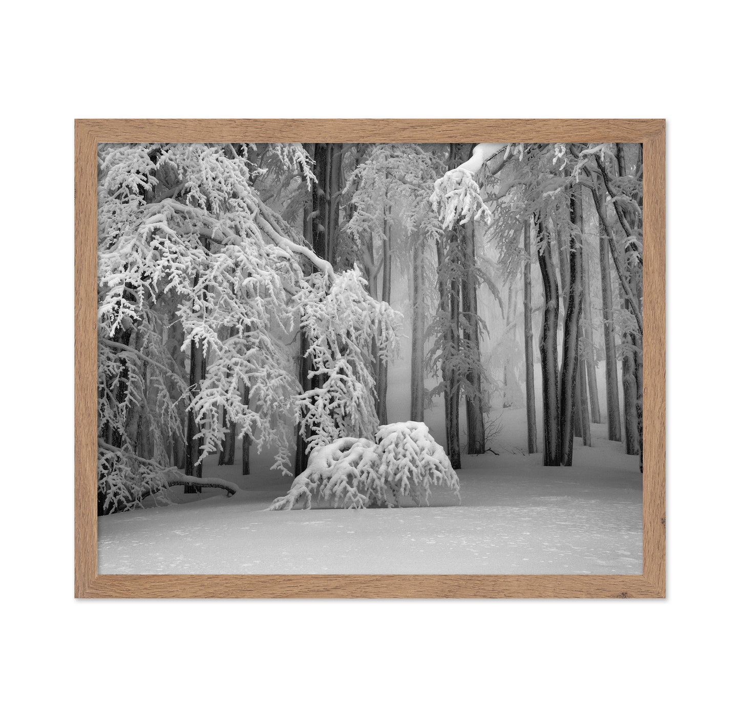 Perfect Winter