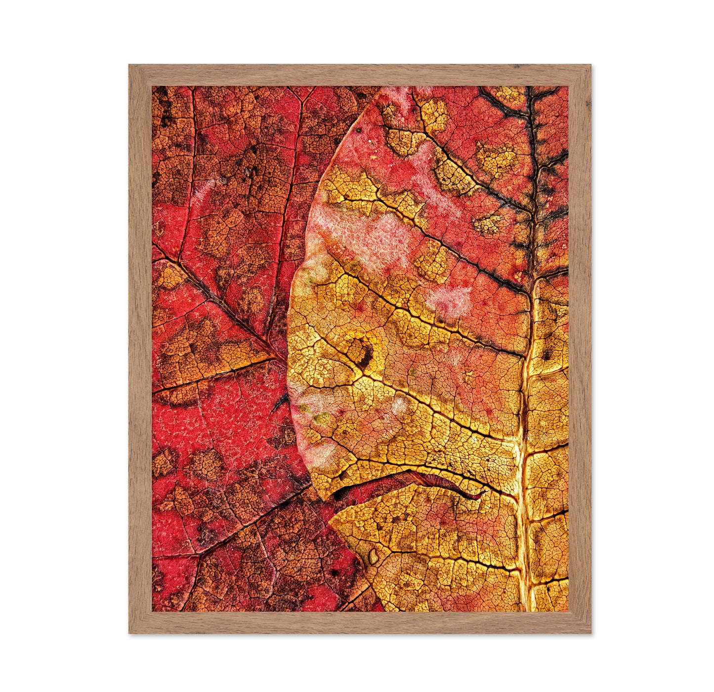 Dying Leaf