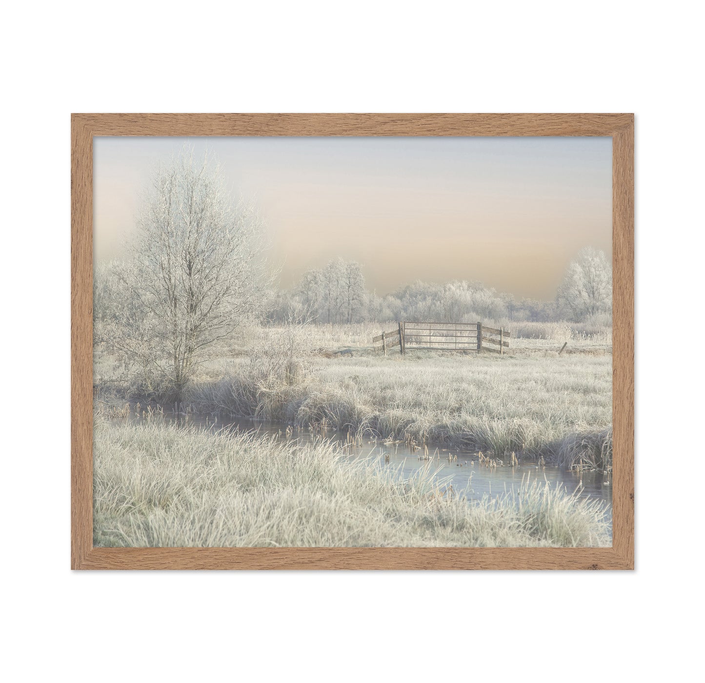 Winter in the Wieden
