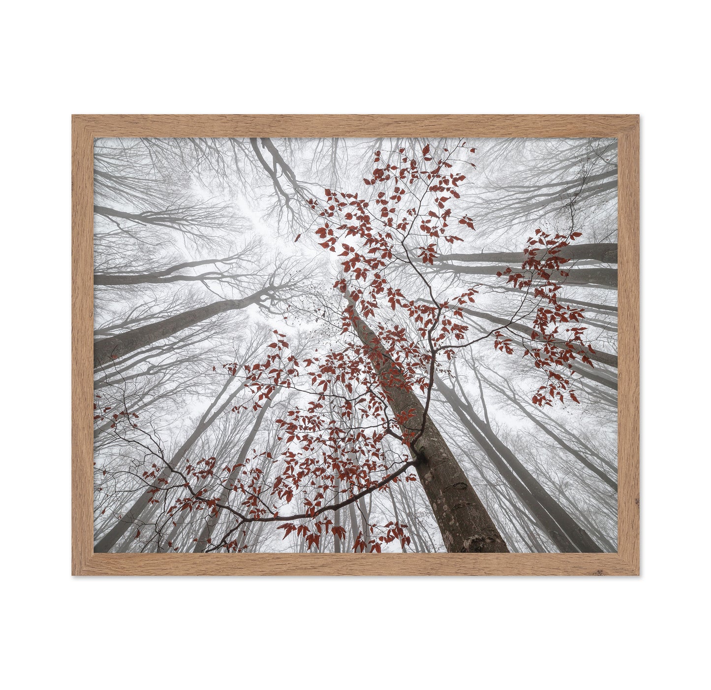 A Wisp of Fall