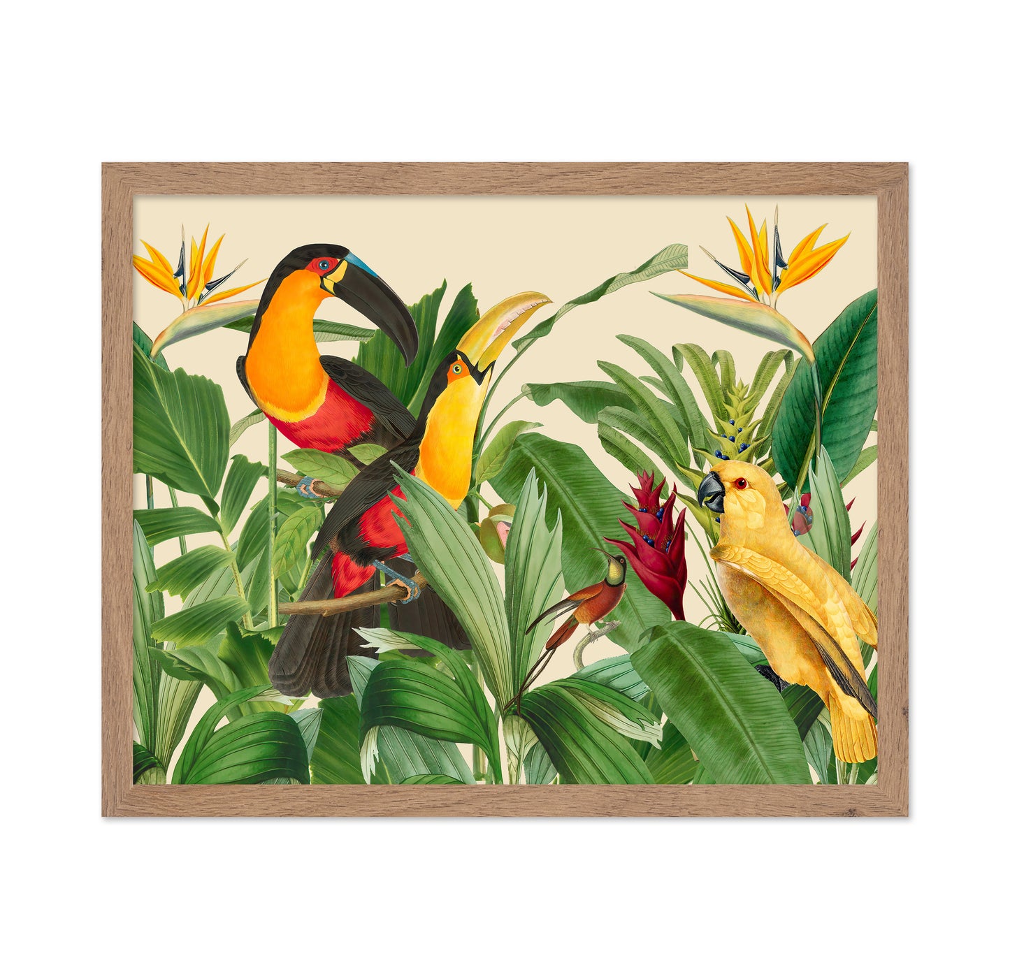 Rain Forest Bird Garden