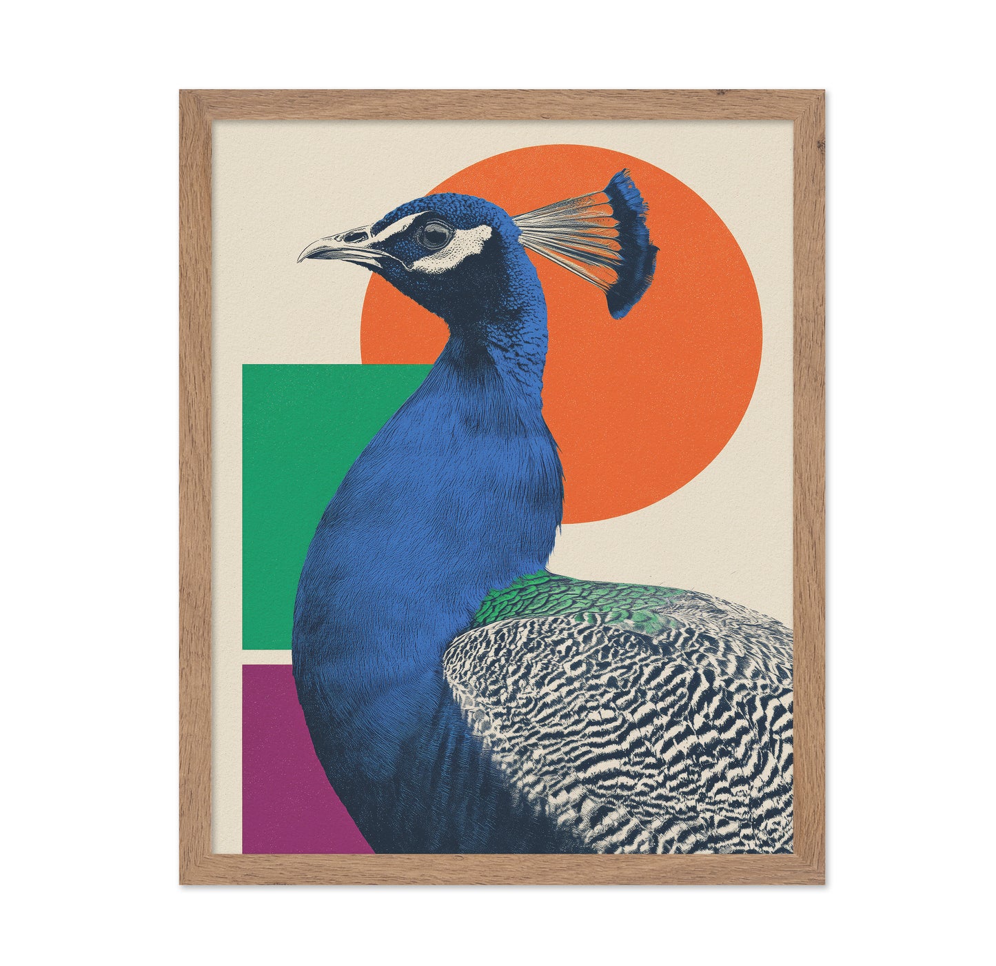The Peacock