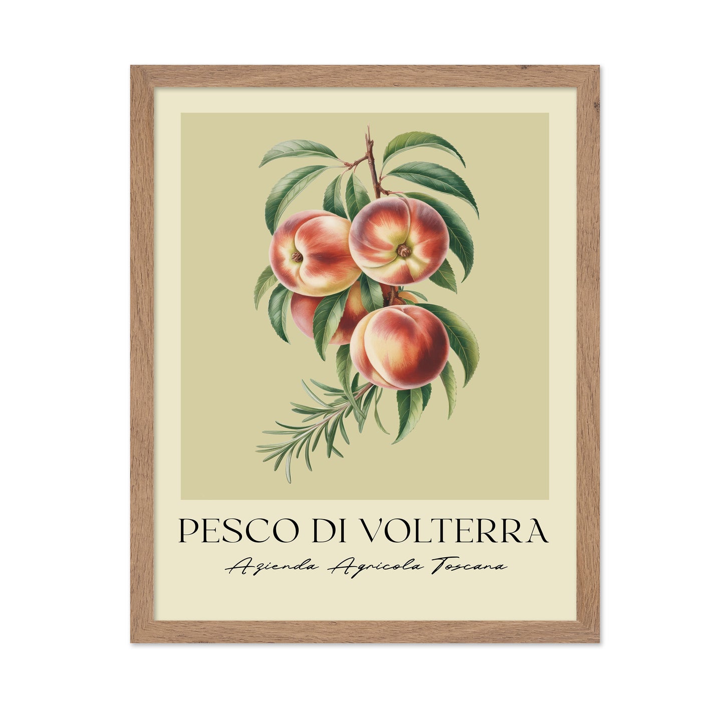 Pesco Di Volterra