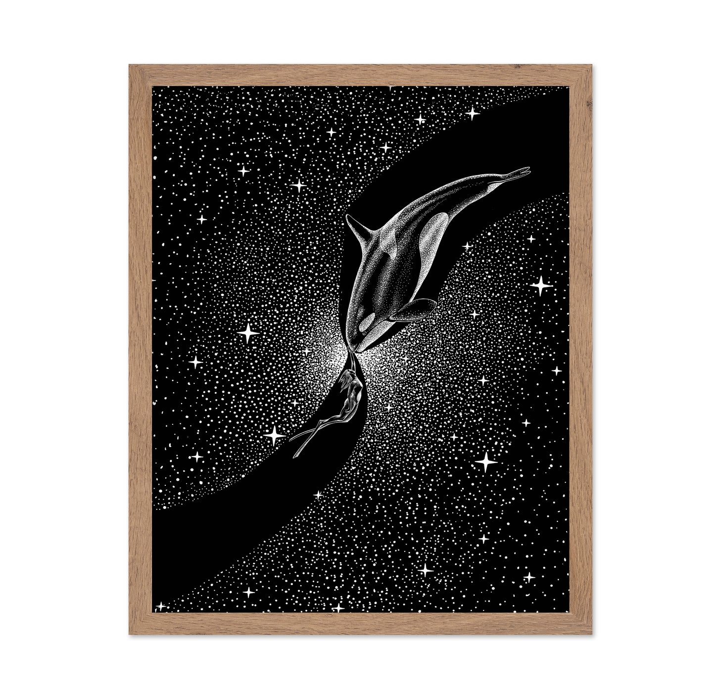 Orca and Diver