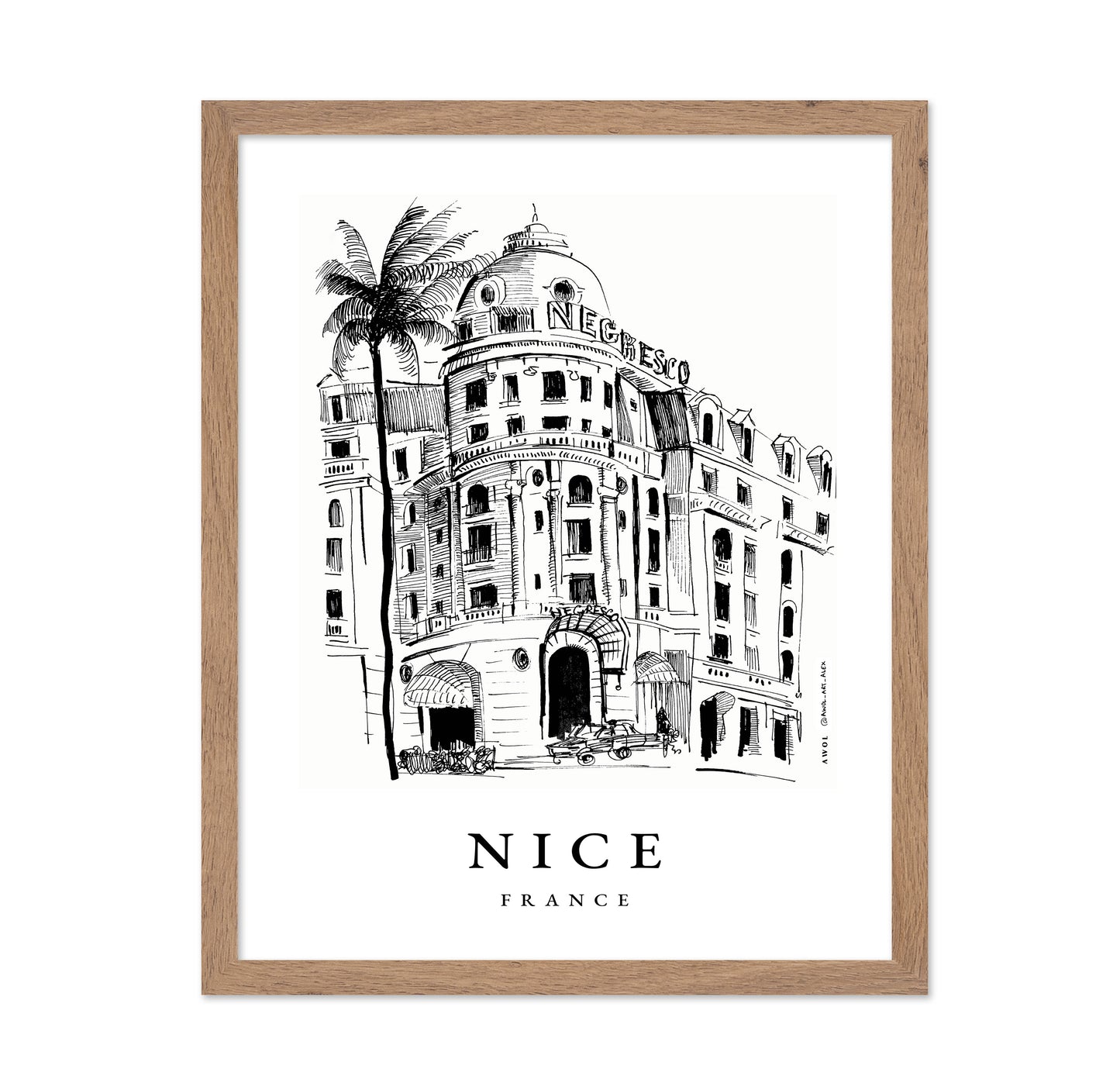 Nice Negresco Architecture