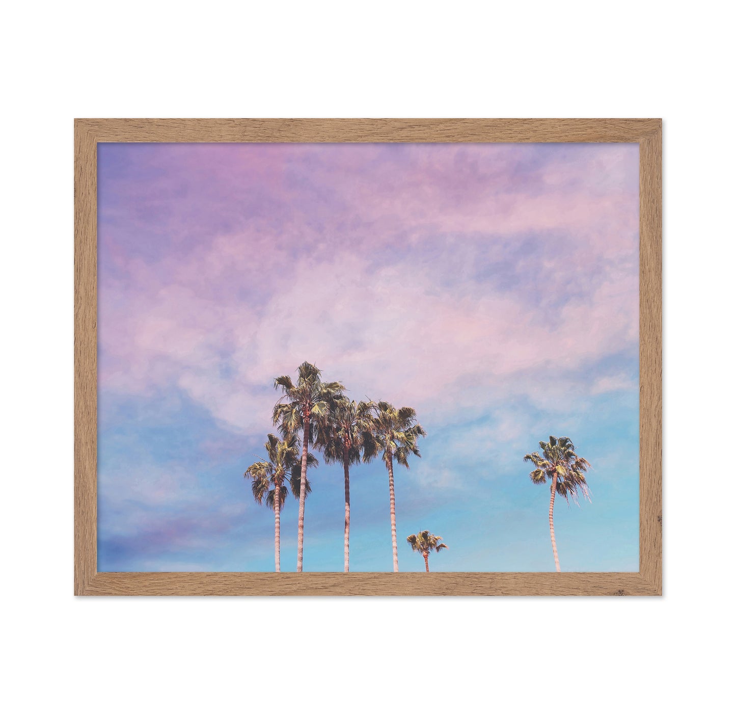 Pastel Palm Trees