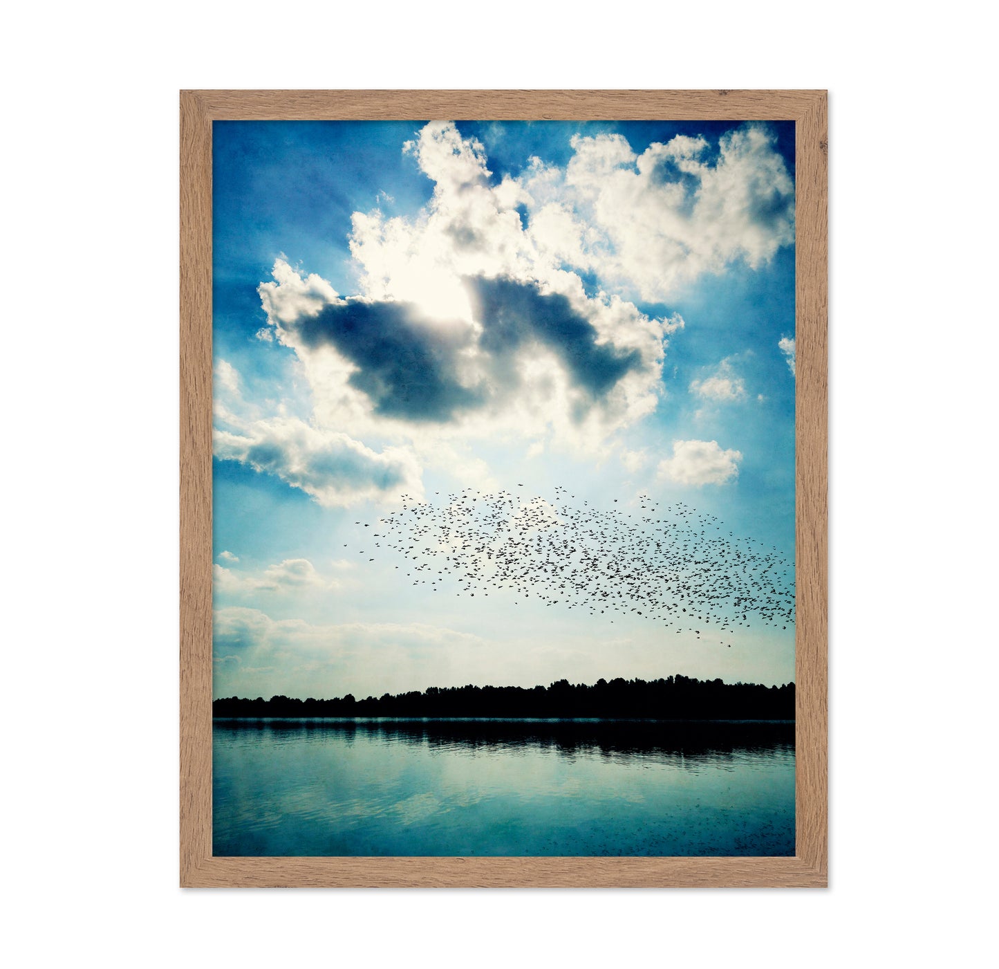 Horizon of Flight