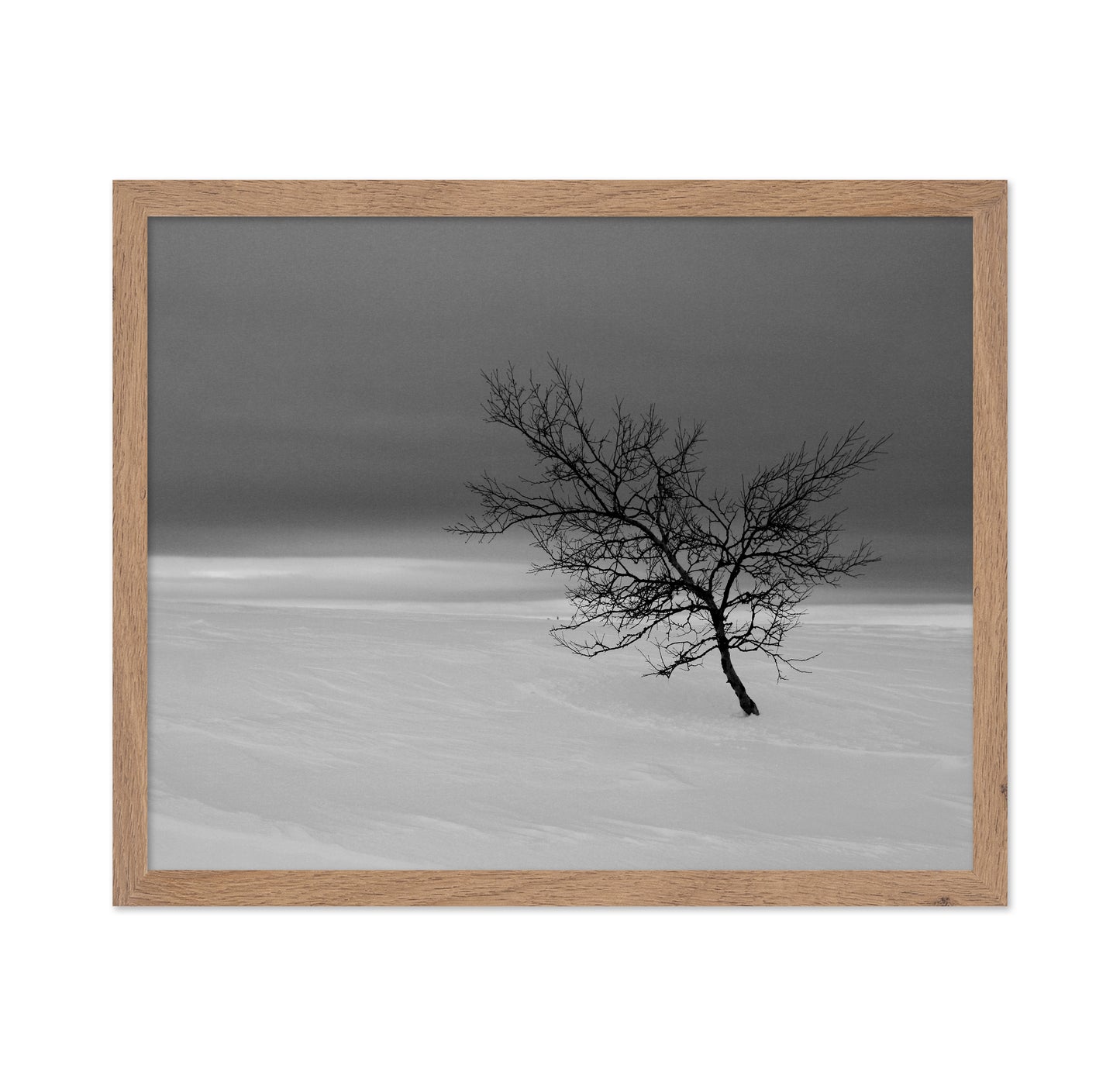 Solitude in White