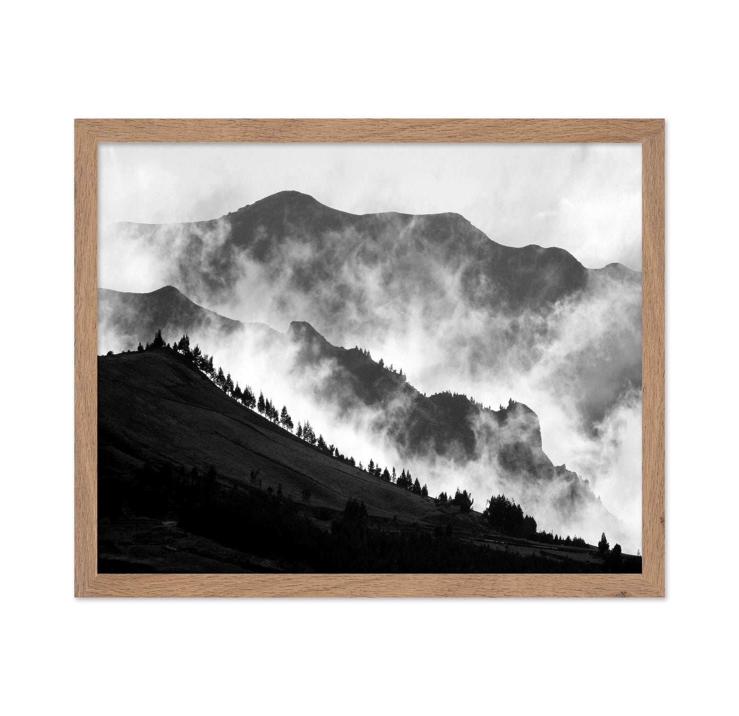 The Andes