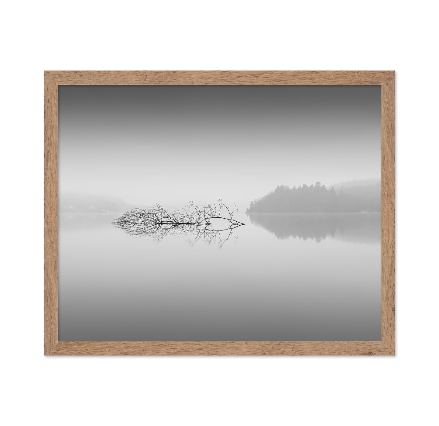 Quiet Morning over Forest Lake
