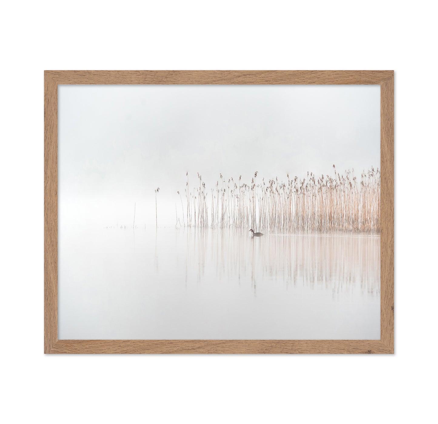 Days in the Fog