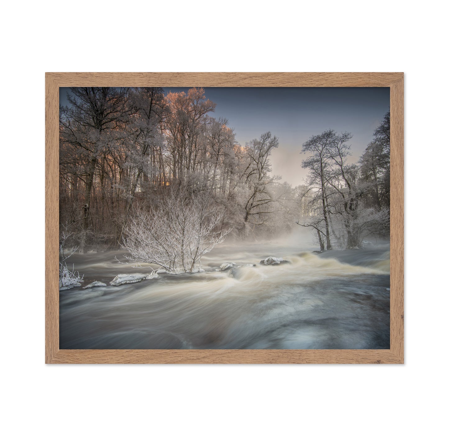 Winter Morning