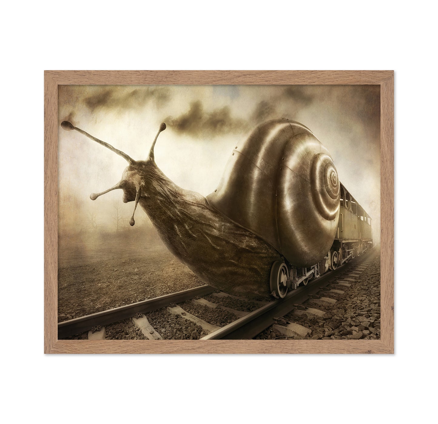 Snail Mail