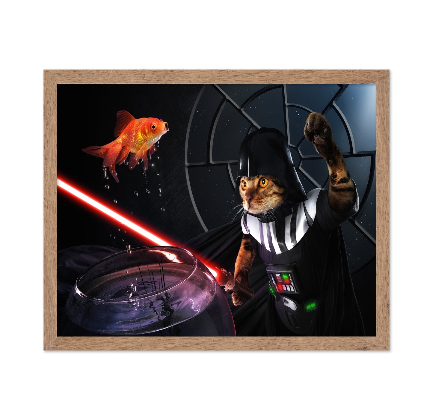 Darth Sushi