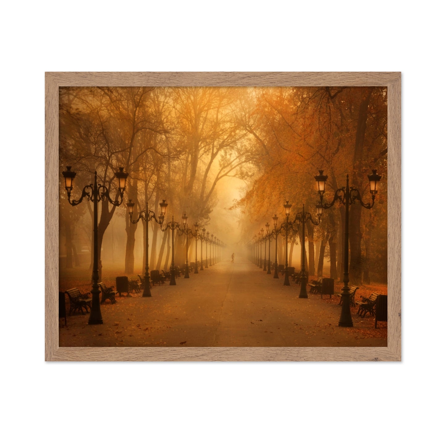 November Morning