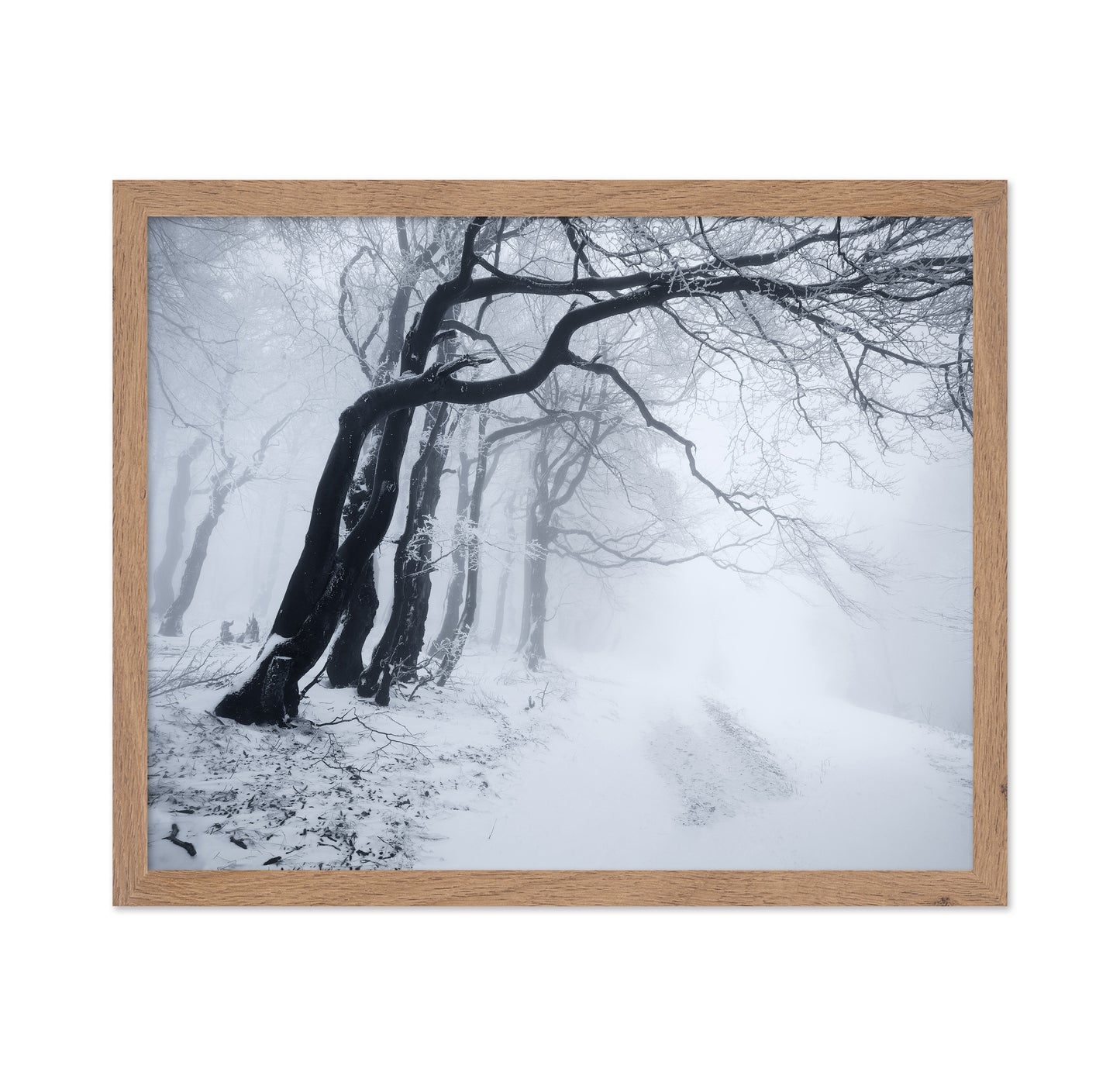 In The Winter Forest