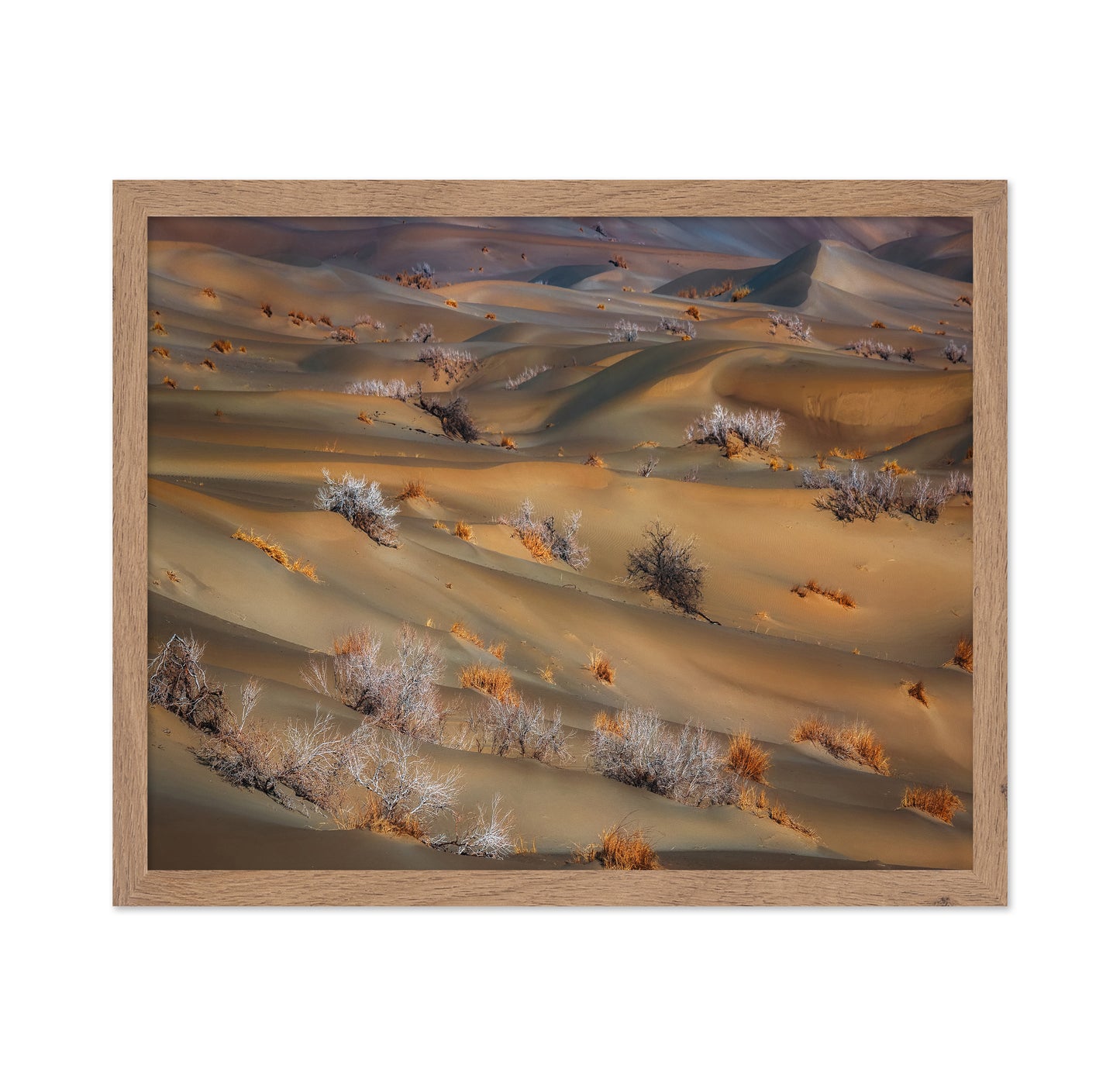 Coppice In Desert