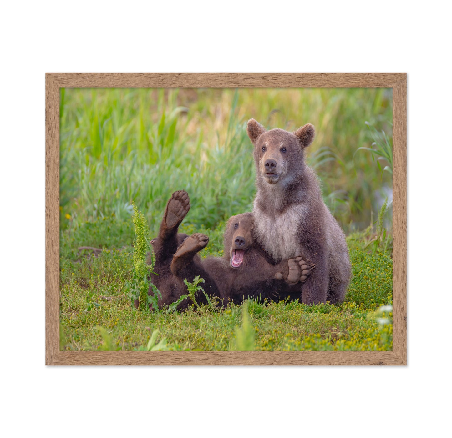 Bear Games