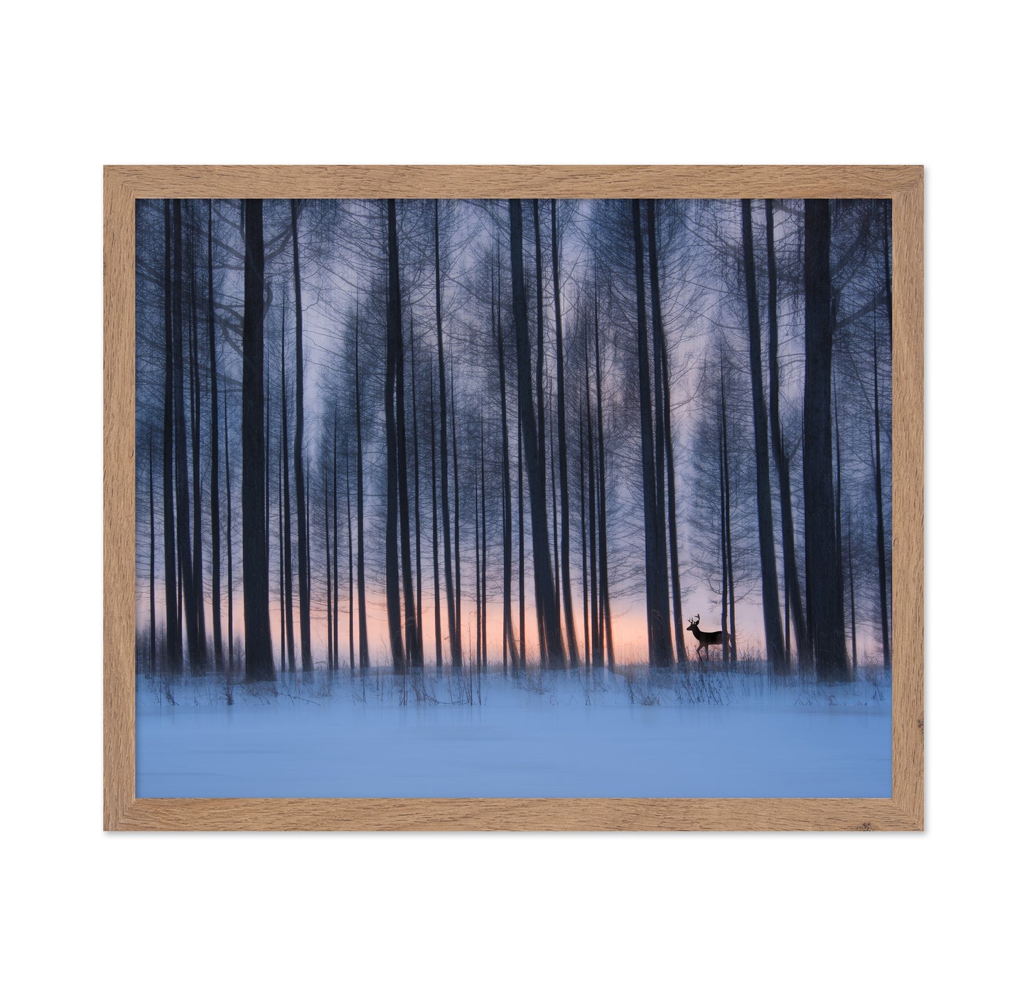 Winter Forest Deer