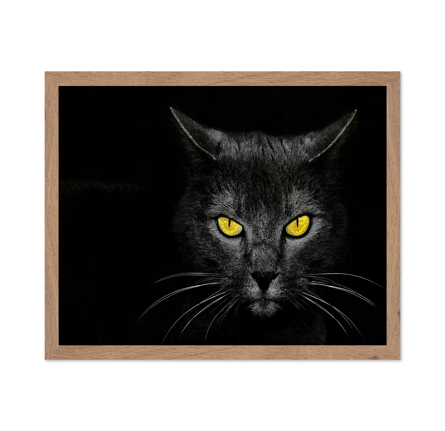 Black Cat No 3