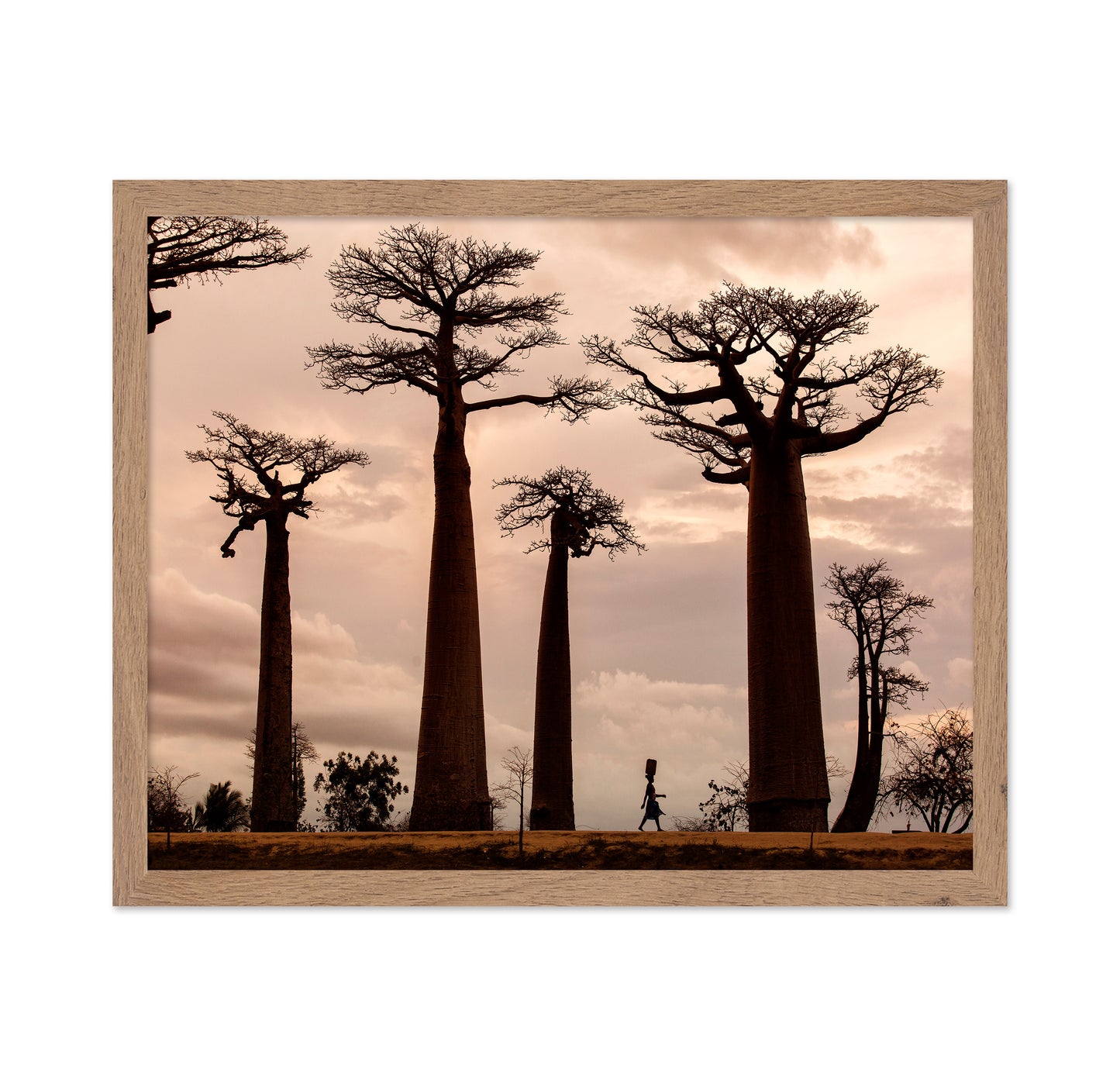 Madagascar