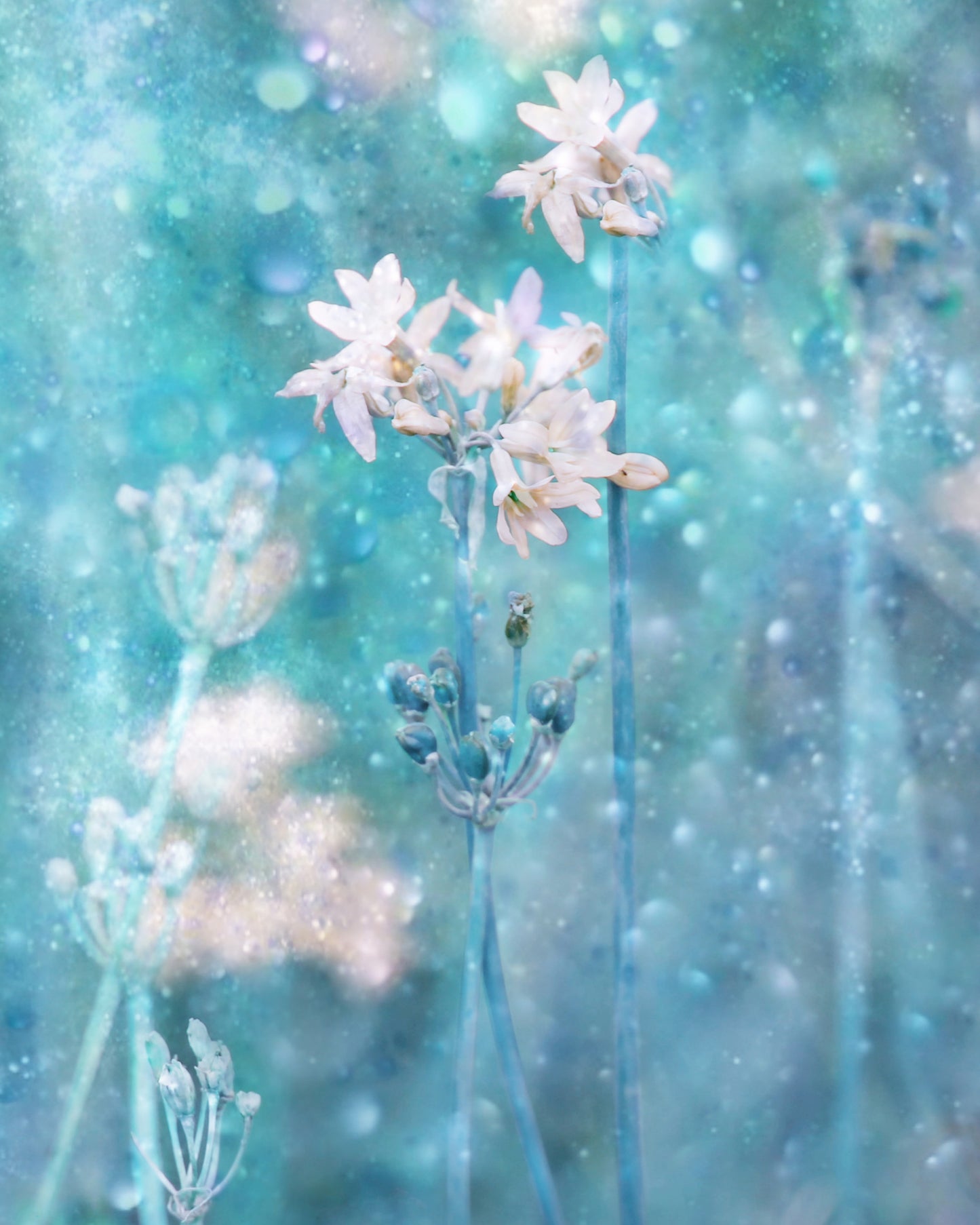 The Complex Magic Of Nature