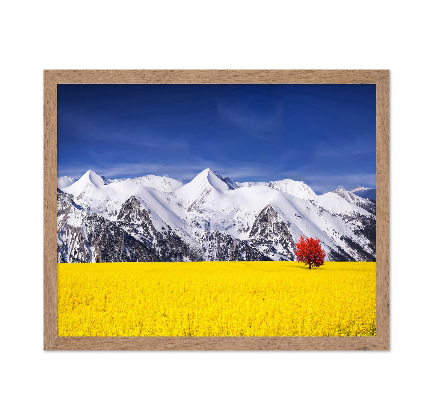 Red Tree in the Canola Meadow
