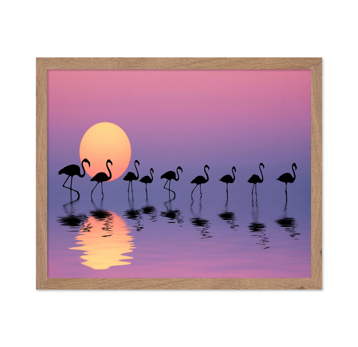 Family Flamingos