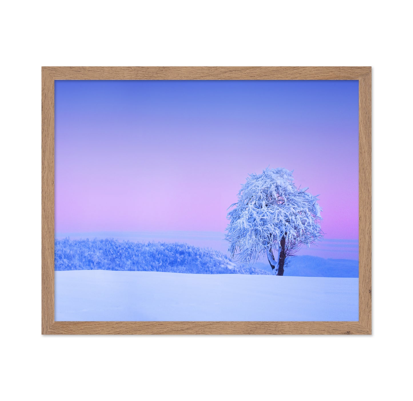 Winter Tree