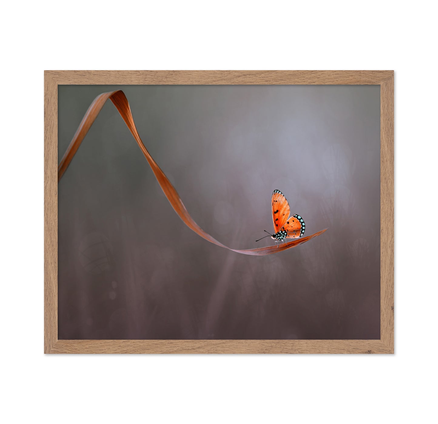 Lonely Orange