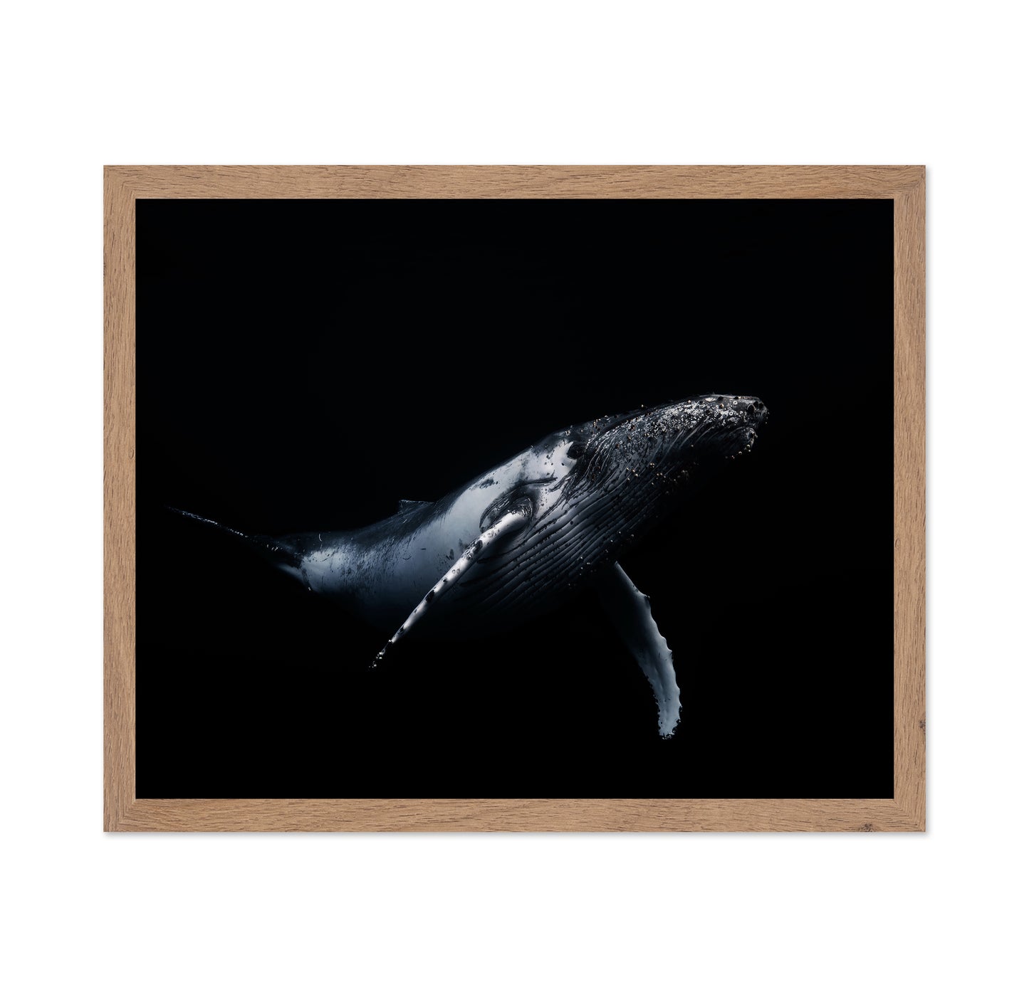 Black & Whale