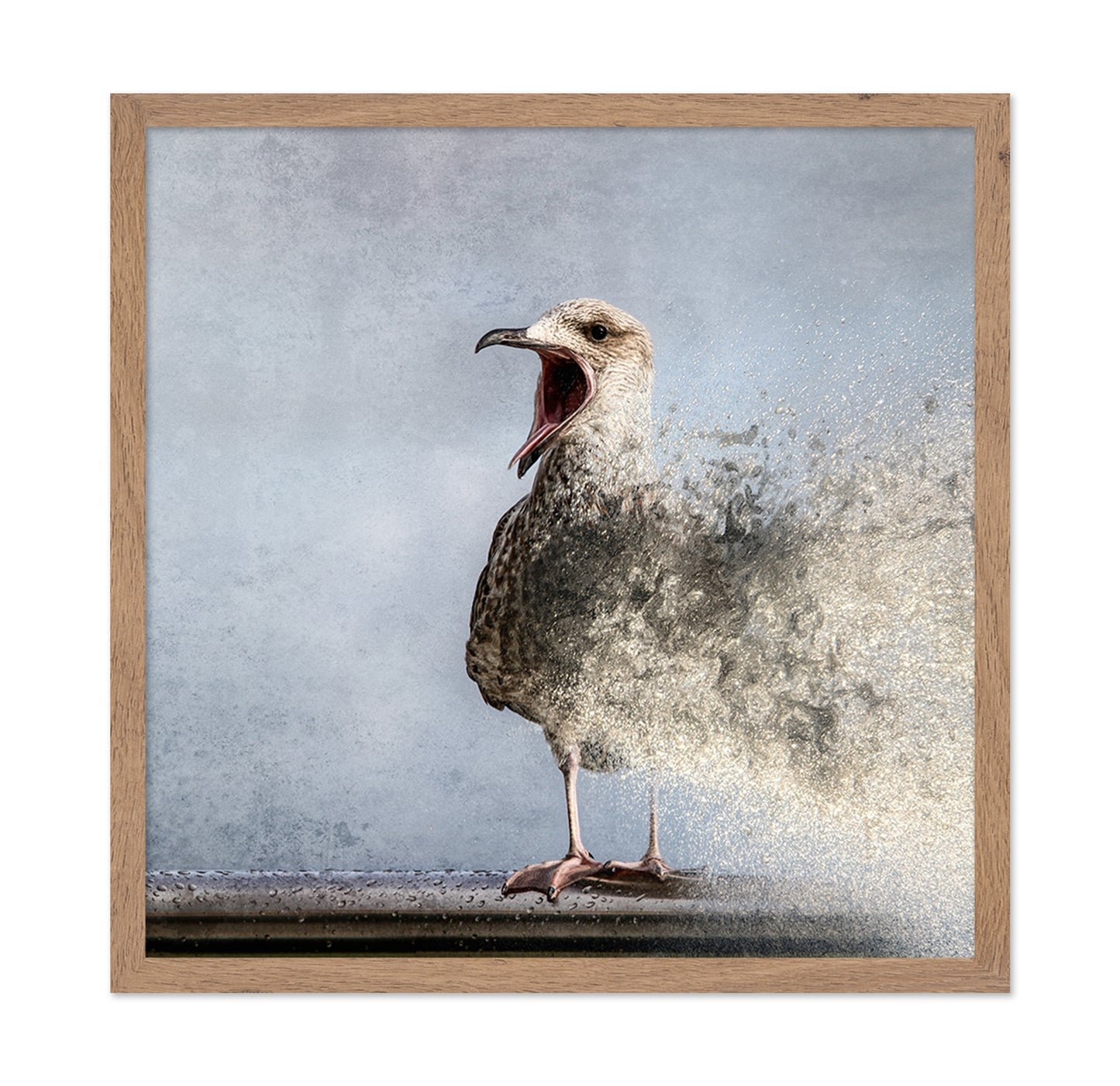 Waterbird