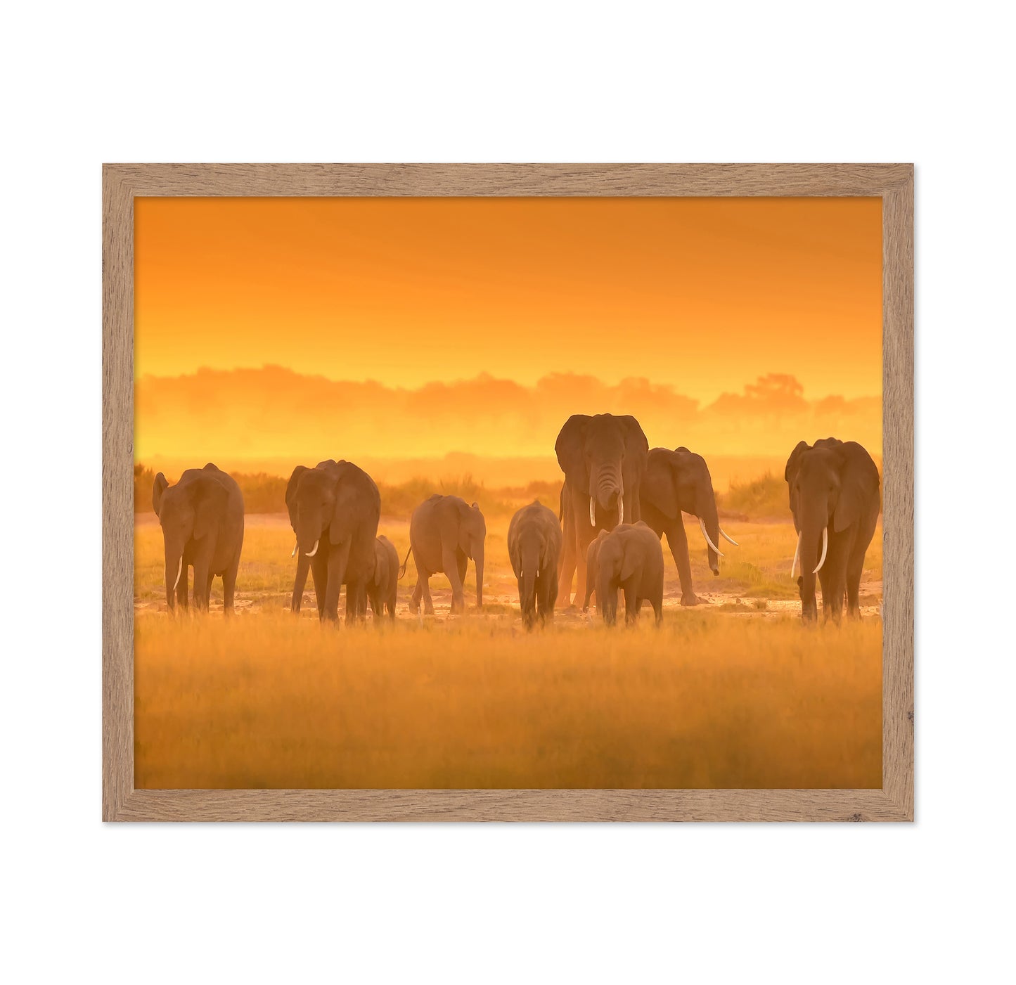 Golden Light