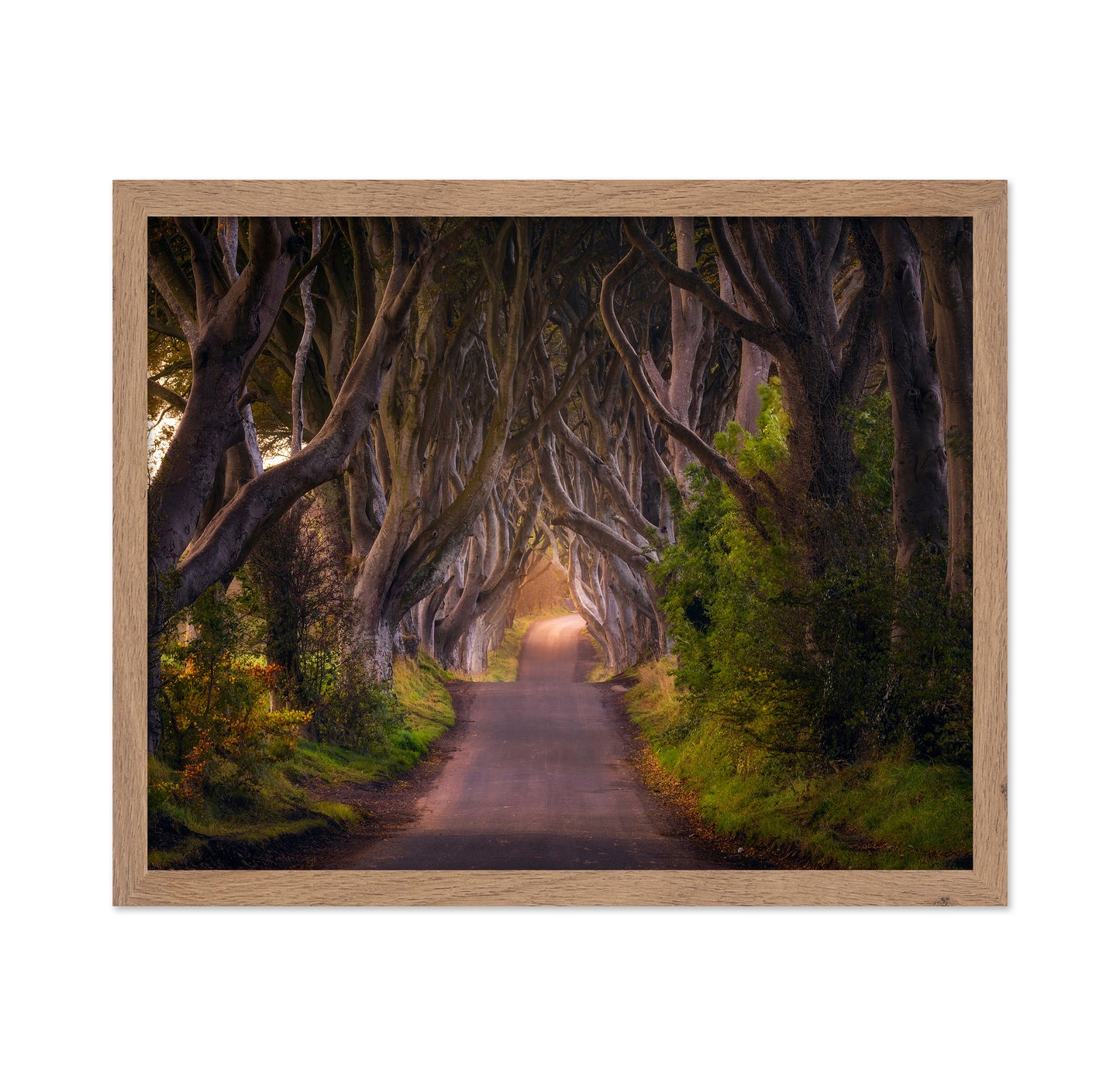 The Glowing Hedges