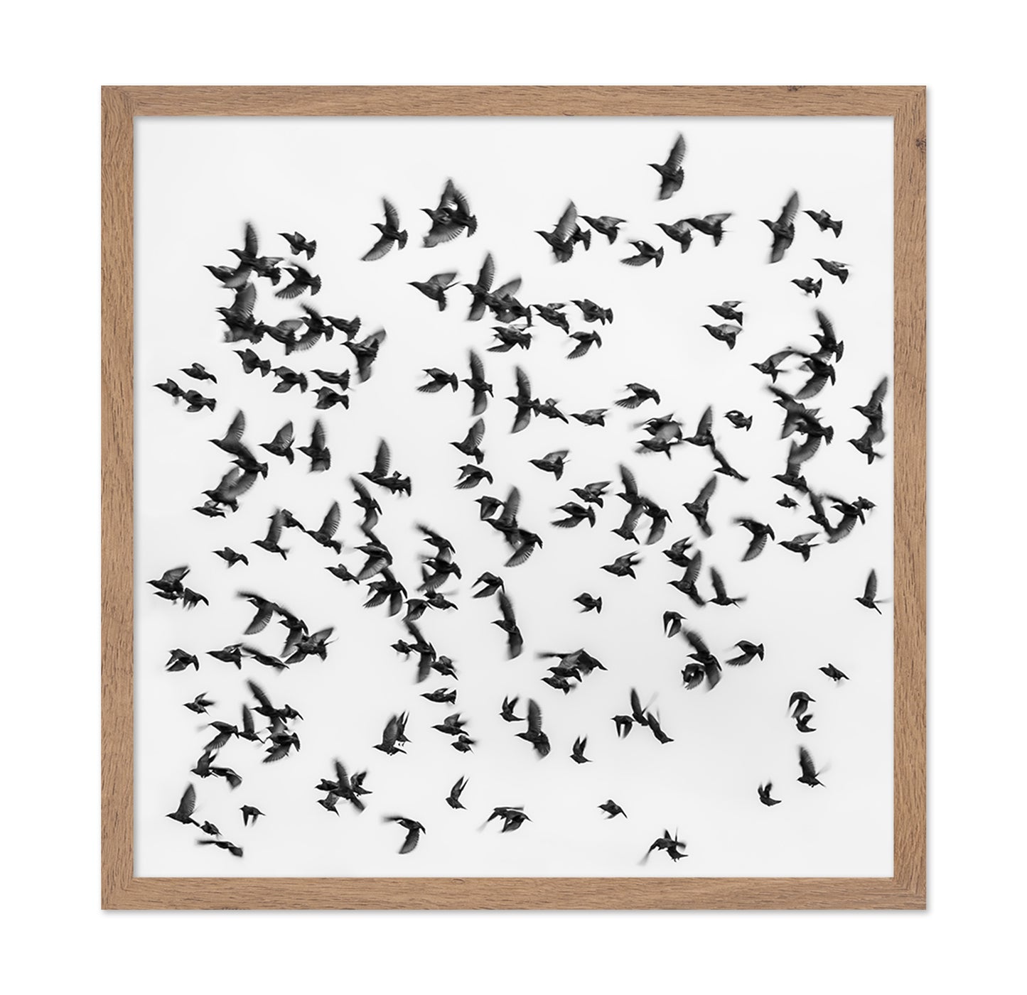 The Great Migration