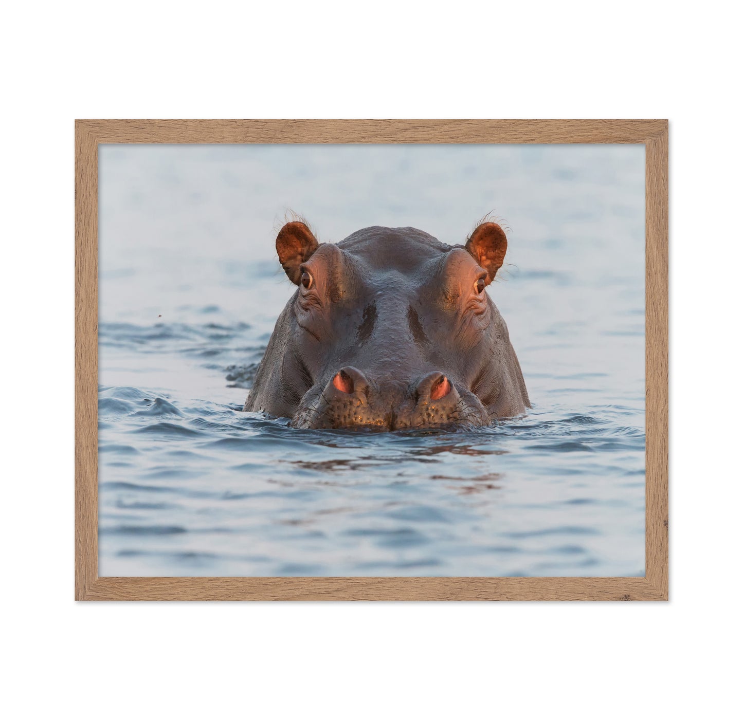 On Chobe River