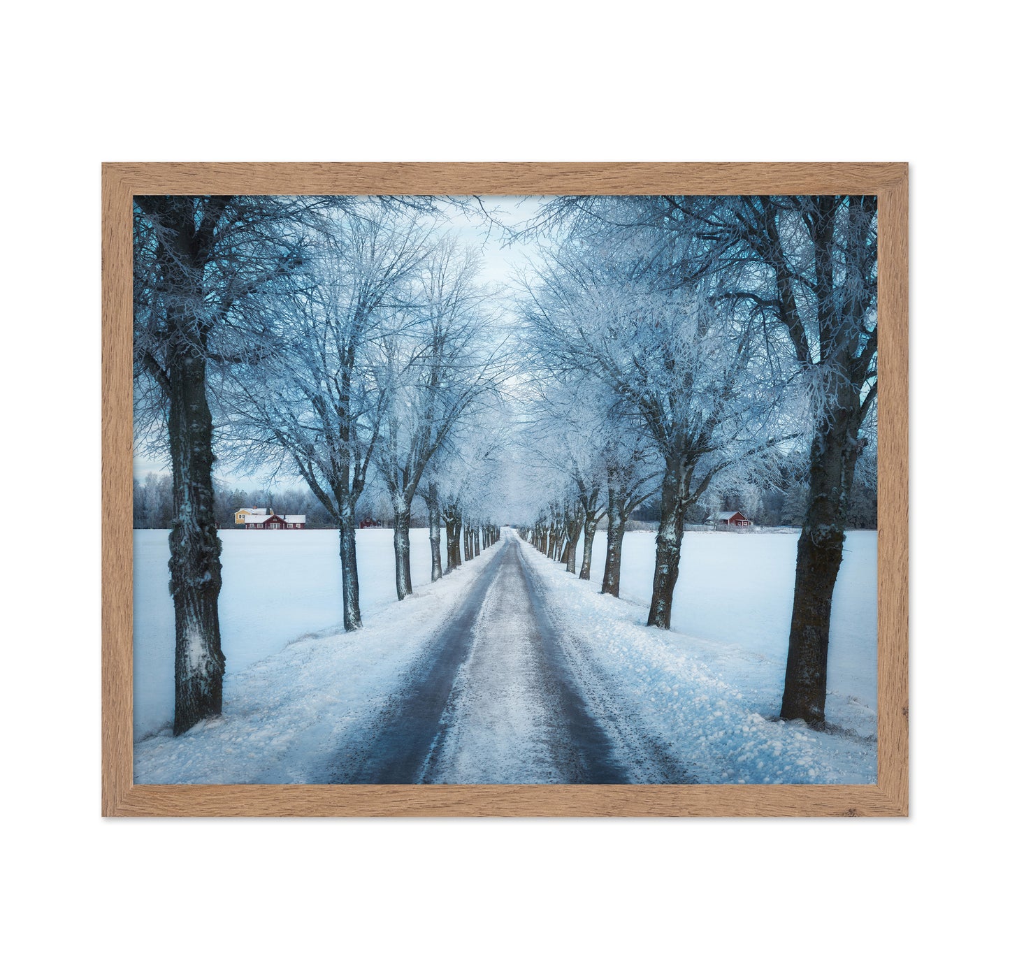 Swedish Winter