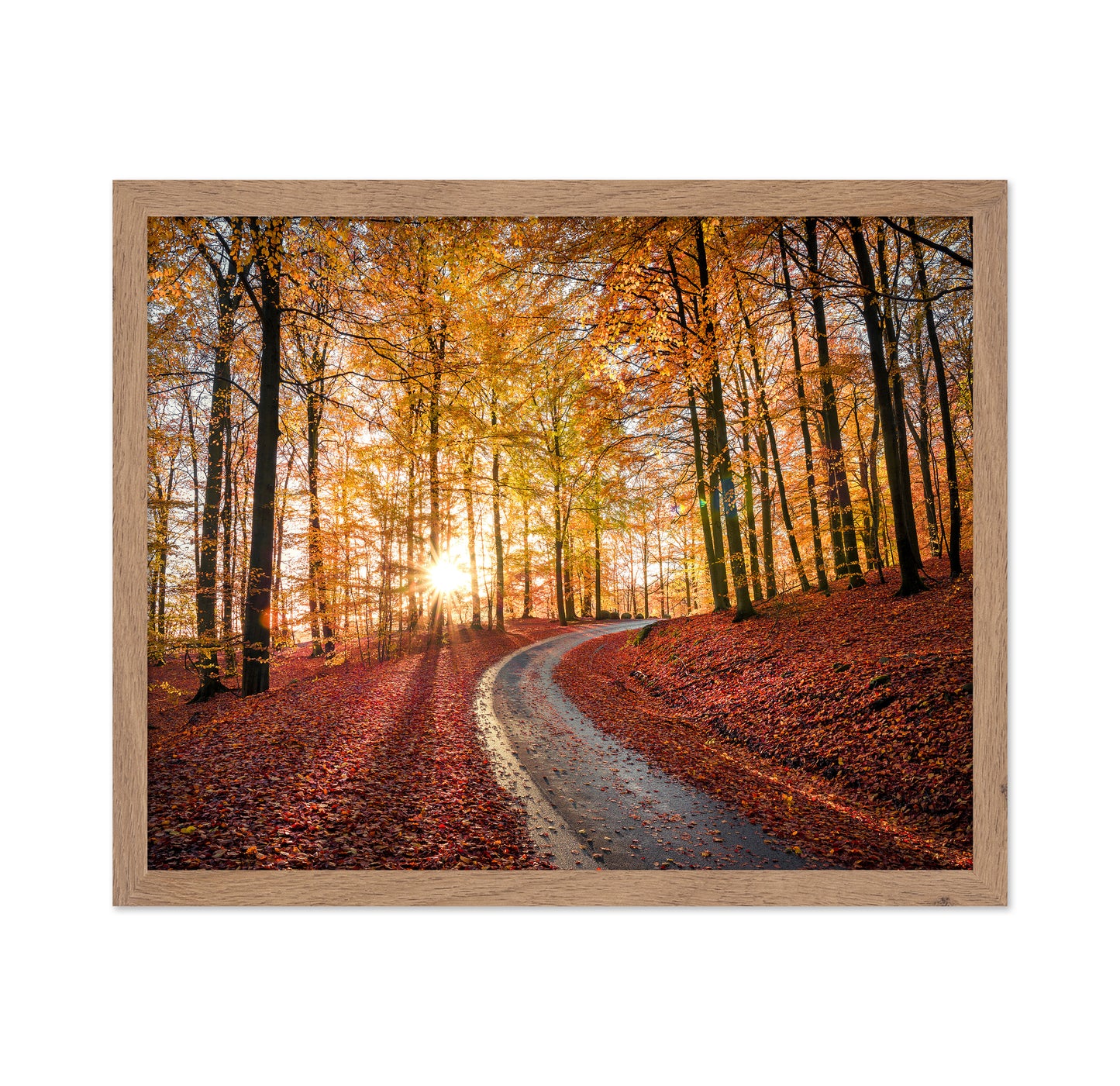Road In Sapderaysen Nationalpark Sweden