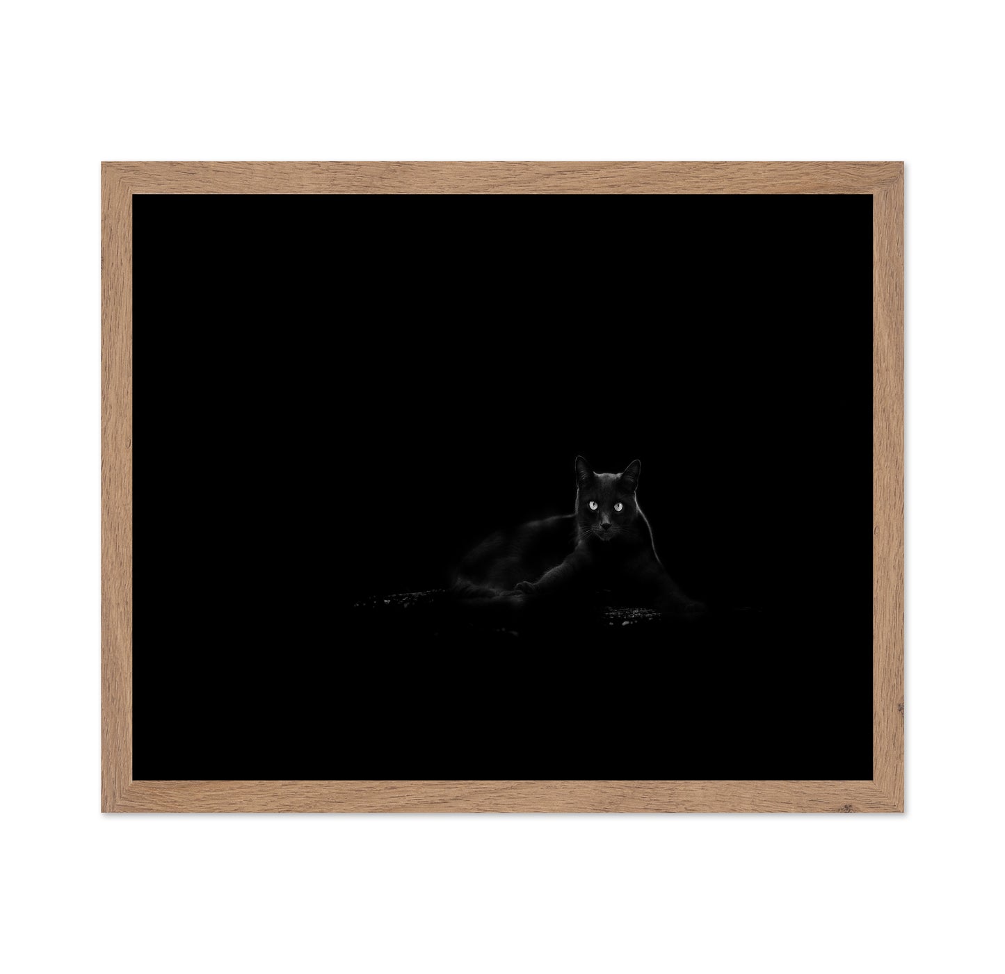 Black Cat No 4