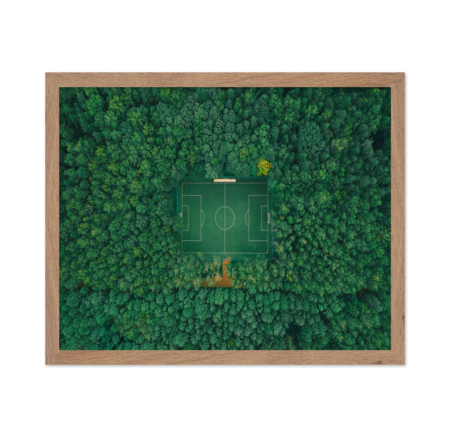 When Nature Embraces Sport