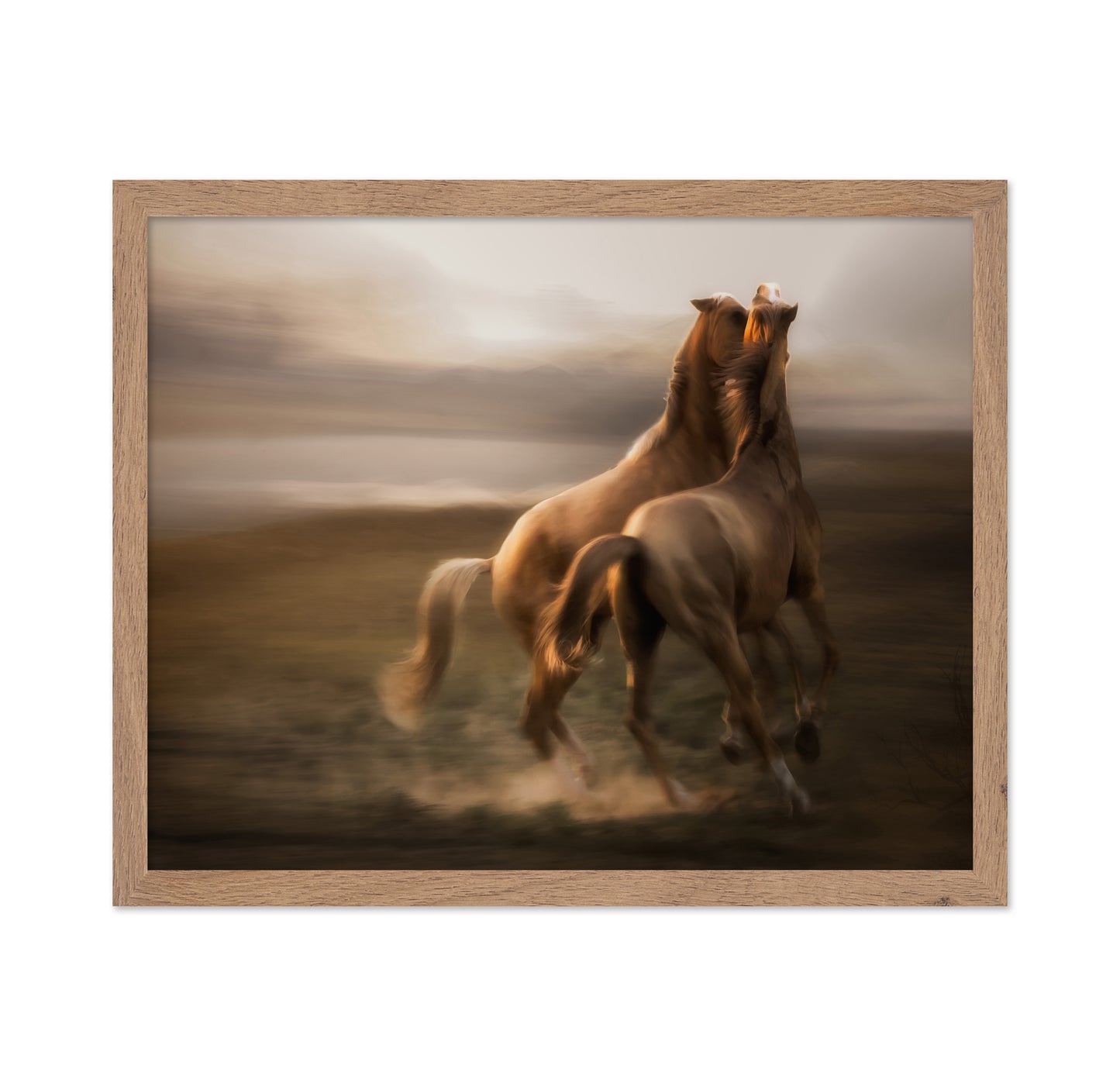 Stallion Rivalry